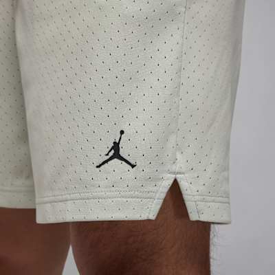 Jordan Sport Dri-FIT nettingshorts til herre
