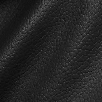 Borsa per fotocamera Monarch Jordan (1 l)