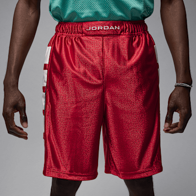 Jordan Brooklyn Cat Scratch Shorts (Herren)