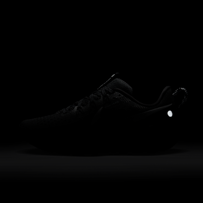 Nike Pegasus Trail 5 Traillaufschuh (Damen)