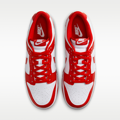 Nike Dunk Low Retro Men's Shoes