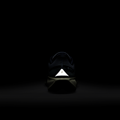 ナイキ ペガサス 41 GORE-TEX メンズ 防水 ロード ランニングシューズ