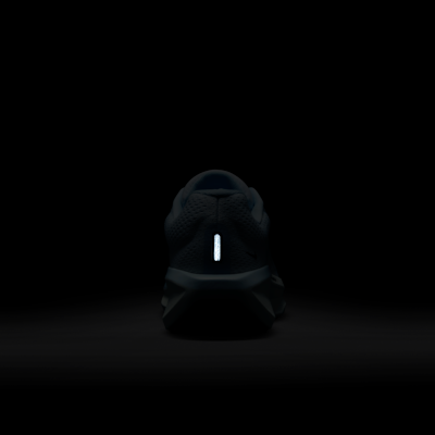 Nike Winflo 11 Women's Road Running Shoes