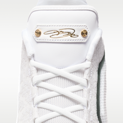 LeBron XXIII 'From This Point Forward' Basketball Shoes