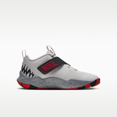 Кроссовки баскетбольные детские Nike Team Hustle D 12 SE