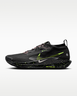 Мужские кроссовки Nike Pegasus Trail 5 GORE-TEX Waterproof Trail для бега