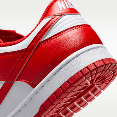 Nike Dunk Low Retro Men's Shoes