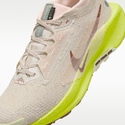 รองเท้าวิ่งเทรลผู้หญิงกันน้ำ Nike Pegasus Trail 5 GORE-TEX