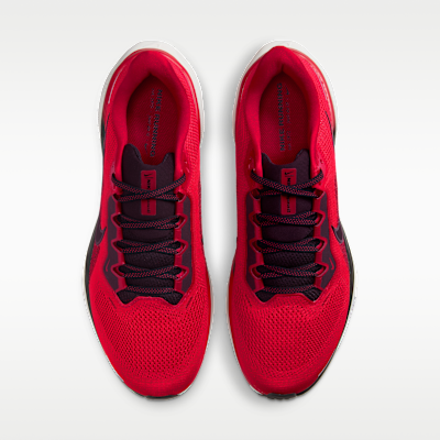 Tenis de correr en pavimento para hombre Nike Pegasus 41