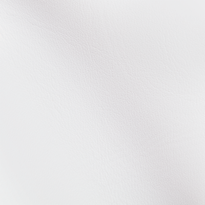 Nike Icon Cortez Wristlet