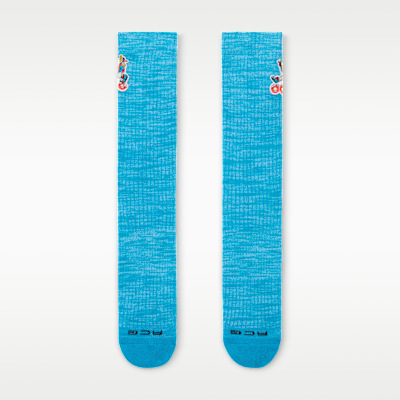 Calcetas acolchadas (1 par) Nike ACG USA Everyday