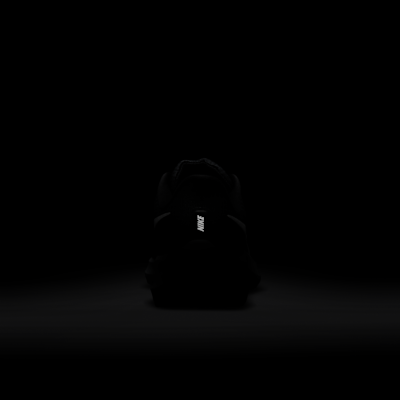 Nike Pegasus 39 Women's Road Running Shoes