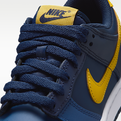 Nike Dunk Low Big Kids' Shoes