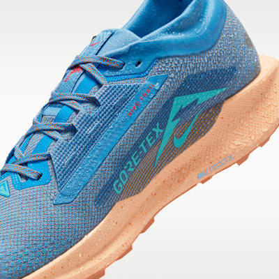 Nike Pegasus Trail 5 GORE-TEX Men's Waterproof Trail-Running Shoes