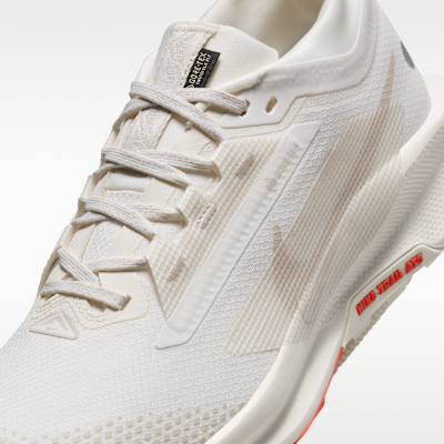 รองเท้าวิ่งเทรลผู้หญิงกันน้ำ Nike Pegasus Trail 5 GORE-TEX