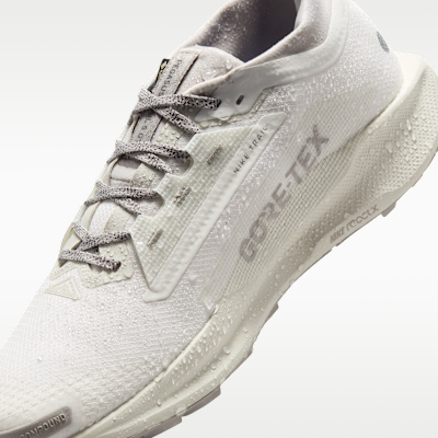 ナイキ ペガサス トレイル 5 GORE-TEX SP メンズ 防水 トレイル ランニングシューズ