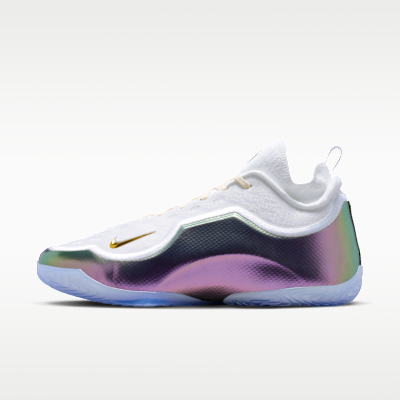 Nike LeBron XXIII Elite "For the Record" Basketbol Ayakkabısı