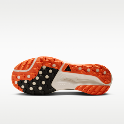 Nike ACG Pegasus Trail Arazi Tipi Erkek Koşu Ayakkabısı görsel 2