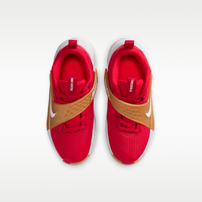 Nike Team Hustle D 12 Küçük Çocuk Ayakkabısı