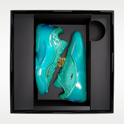 LeBron XXIII 'Honour The King' Basketball Shoes