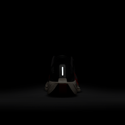 Nike Pegasus Plus Men's Road Running Shoes