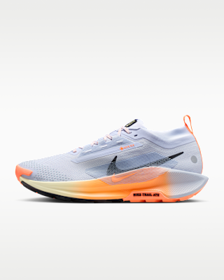 Мужские кроссовки Nike Pegasus Trail 5 GORE-TEX Waterproof Trail для бега