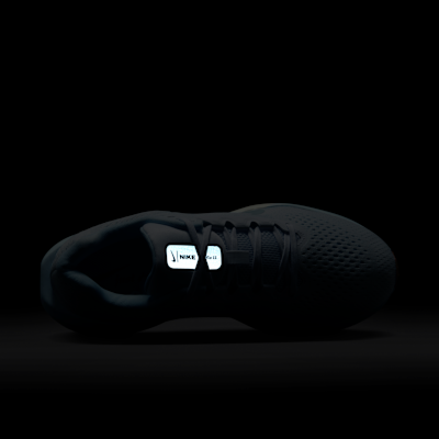 Nike Winflo 11 Women's Road Running Shoes