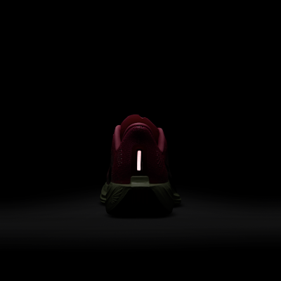 Nike Pegasus Plus Women's Road Running Shoes