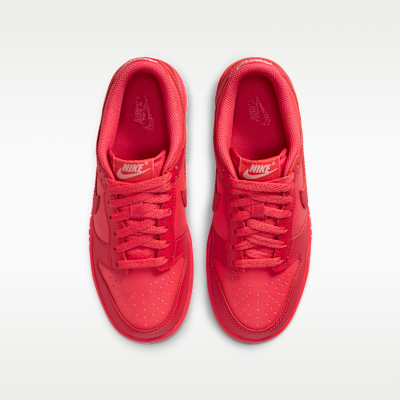 Nike Dunk Low Older Kids' Shoes