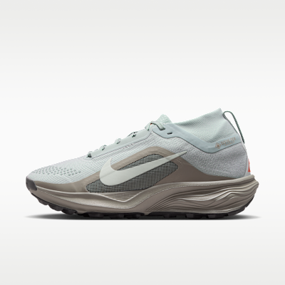 Nike ACG Pegasus Trail GORE-TEX Su Geçirmez Arazi Tipi Kadın Koşu Ayakkabısı