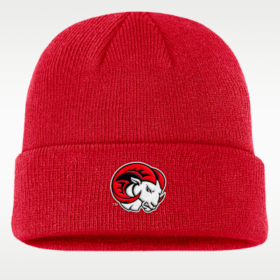 Nike College Terra (Winston-Salem State University) Beanie