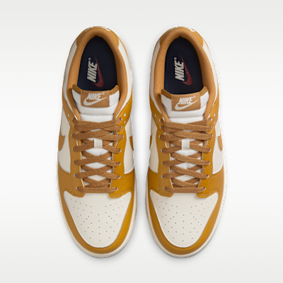 Nike Dunk Low Retro Men's Shoes