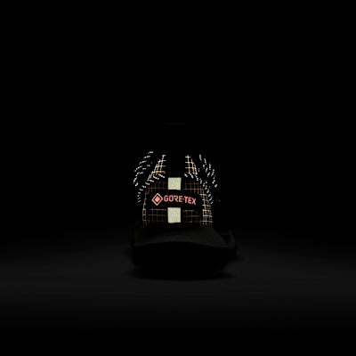 ナイキ ACG マウンテン フライ LOW GORE-TEX SE メンズシューズ