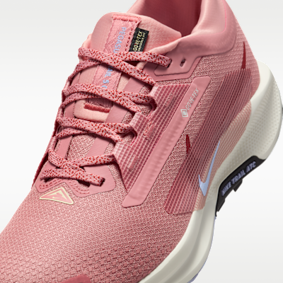 Nike Pegasus Trail 5 GORE-TEX Women's Waterproof Trail-Running Shoes