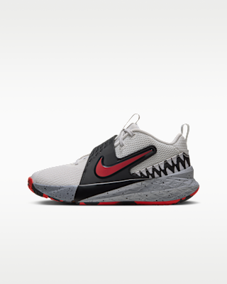Детские кроссовки Nike Team Hustle D 12 SE "Werewolf" Big Kids' Basketball для баскетбола