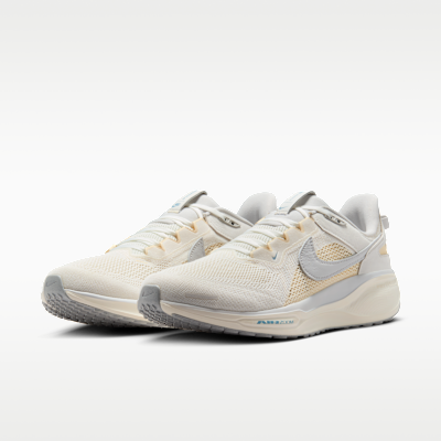 Nike Air Zoom Pegasus 41 SP Men's Shoes