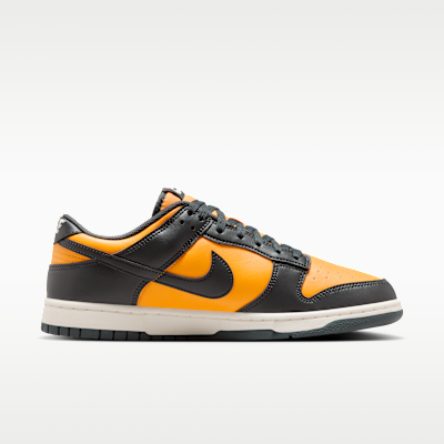 Nike Dunk Low Retro Men's Shoes