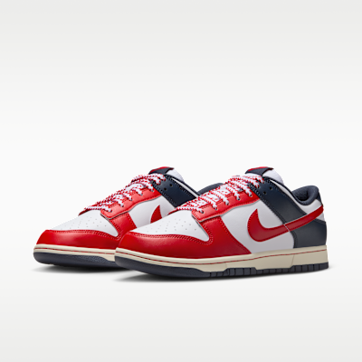 Nike Dunk Low Retro Men's Shoes
