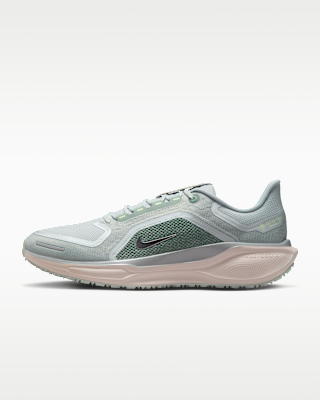Мужские кроссовки Nike Pegasus 41 GORE-TEX Waterproof Road для бега