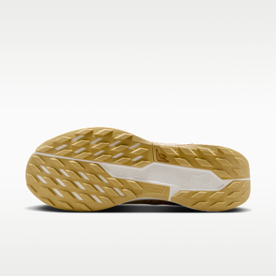 Tenis de trail running impermeables para hombre Nike Pegasus Trail 5 GORE-TEX SP