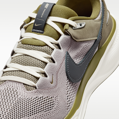 Nike Air Zoom Pegasus 41 SP Men's Shoes