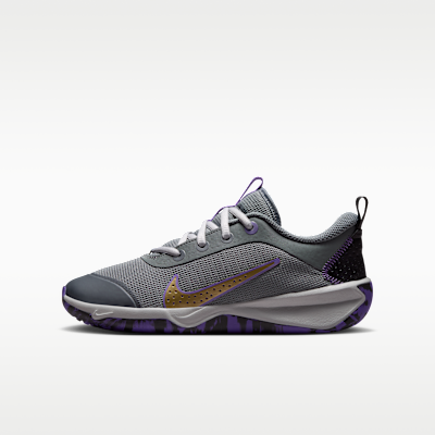 Nike Omni Multi-Court Big Kids' Indoor Court Shoes (Smoke Grey/Action Grape/Light Smoke Grey/Metallic Gold)