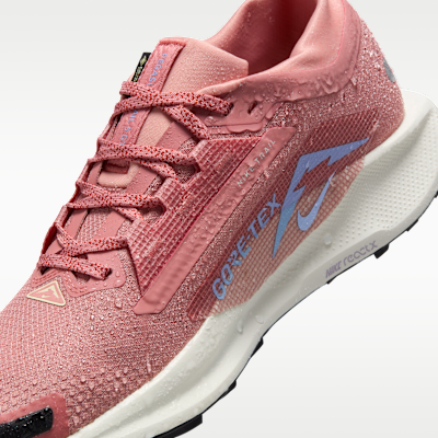 Nike Pegasus Trail 5 GORE-TEX Women's Waterproof Trail-Running Shoes