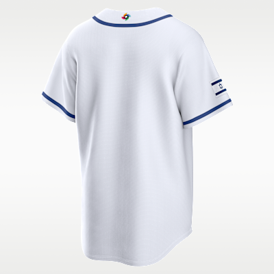 Israel National Baseball Team 2026 World Baseball Classic Men's Nike Stadium Jersey