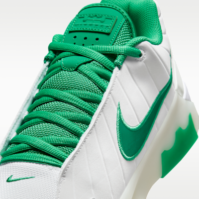 LeBron Witness 9 Basketball Shoes