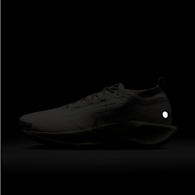 ナイキ ペガサス トレイル 5 GORE-TEX SP メンズ 防水 トレイル ランニングシューズ