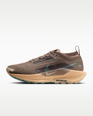Женские кроссовки Nike Pegasus Trail 5 GORE-TEX Waterproof Trail для бега
