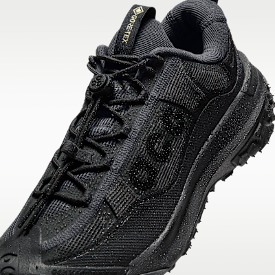 Nike ACG Mountain Fly 2 低筒 GORE-TEX 男鞋