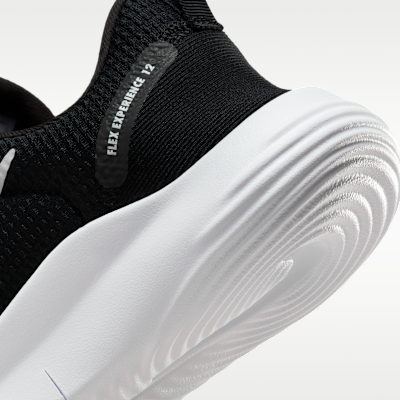 Nike Flex Experience Run 12 Women's Road Running Shoes