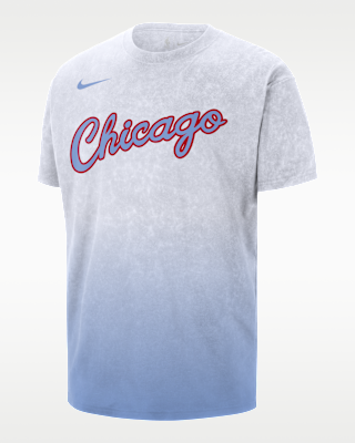 Мужская футболка Chicago Bulls Essential City Edition Nike NBA Max90